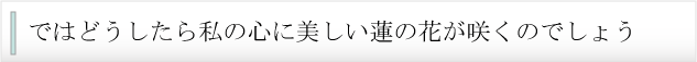 ł͂ǂA̐Sɔ@炭̂ł傤